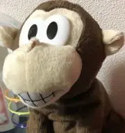 あいちゃんの画像