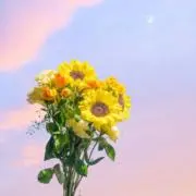 【即購入可能】の画像