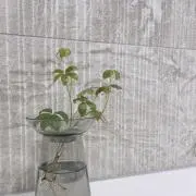 MIKANの画像