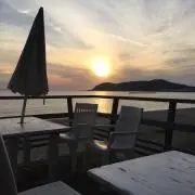 ダリの画像