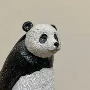 minaの画像