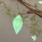 さとりん⭐︎