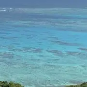 moyuの画像