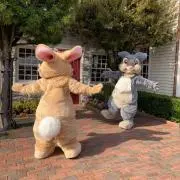 まーの画像