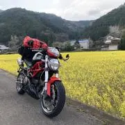 ぜんこうさん