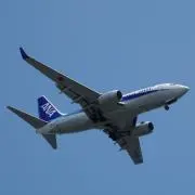 Ponuta1013の画像