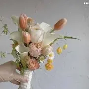HANAの画像