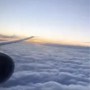 にここ