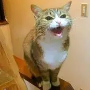 N【プロフ必読】の画像