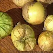 ねぎ玉