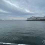 ののの画像