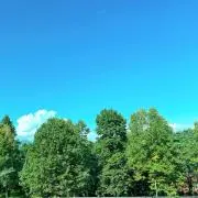 cmdの画像