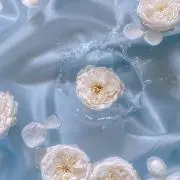 レイの画像