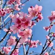 ぽんママ/断捨離中の画像
