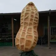 nonnonの画像