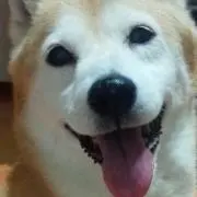 SORA