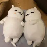 かねはちの画像