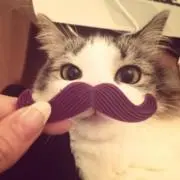 ゆ