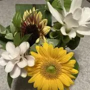 きーこの画像