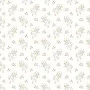 華　プロフ必読の画像