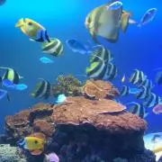 きょんたん