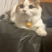 Keeの画像