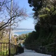 りゅうの画像