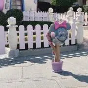 megu♫の画像