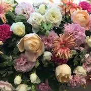 ネコ 即購入OKですの画像