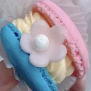 なつの画像