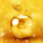 YOUの画像