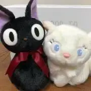 まーたんの画像