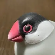 だいすけの画像