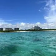 リンダの画像