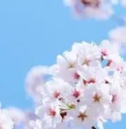 yoneの画像