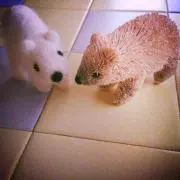 今年で終了