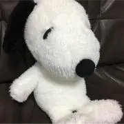 山ママの画像