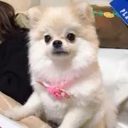 みくちぃ