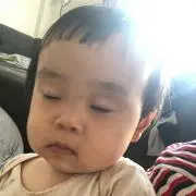 ペンギン。の画像