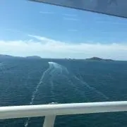 きみかん