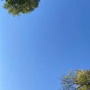 ssの画像