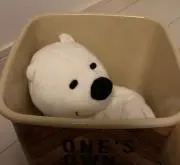 アヤカ丸