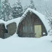野村ータの画像