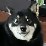 させほの画像