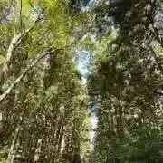 ☆プロフ更新☆ジミー✱実家整理中✱