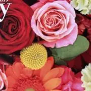 Rose’s page ＊ 即日発送＊の画像