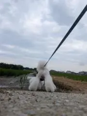 くるみくるみ