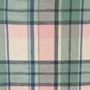 ポポんの画像