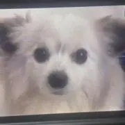 ♡87♡の画像