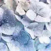 e-♡の画像